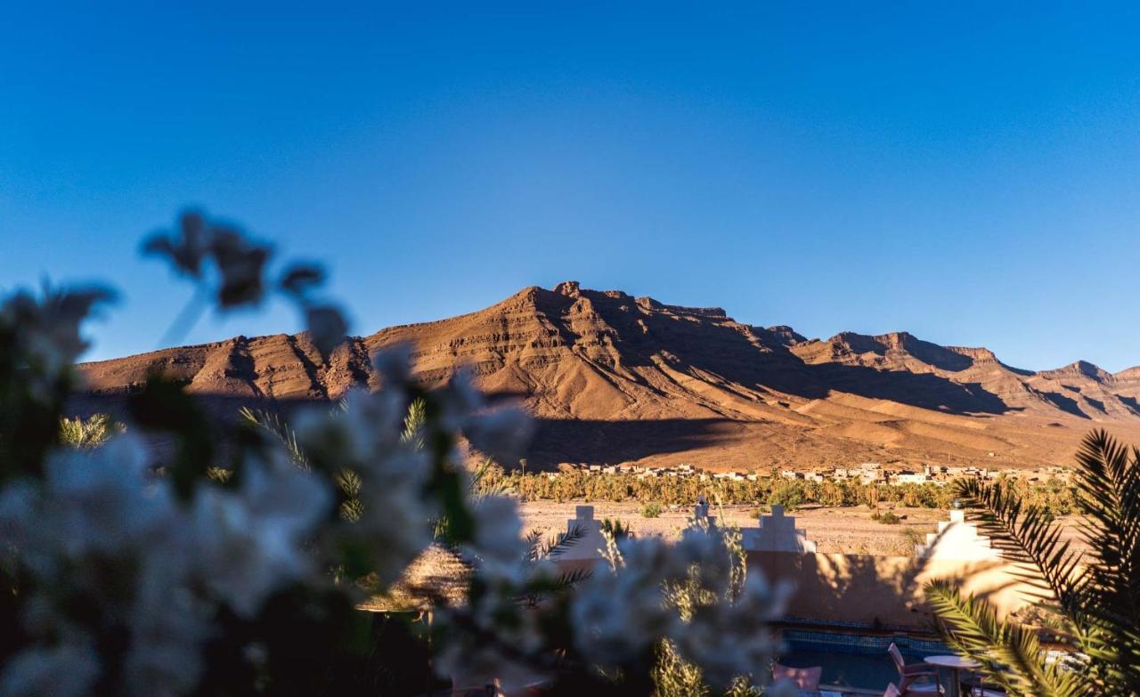 Foum Zguid Riad Hiba المظهر الخارجي الصورة